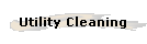 Utility Cleaning